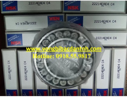 BẠC ĐẠN 22214EAE4C4 - NSK